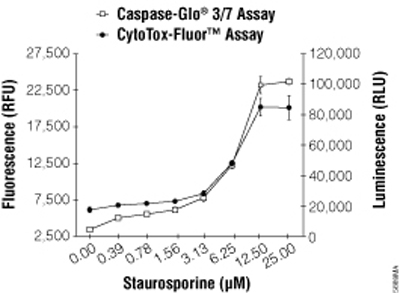 CytoTox-Fluor™ Assay multiplexed with Caspase-Glo® 3/7 Assay.