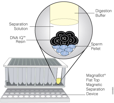 The Automated Differex™ System.