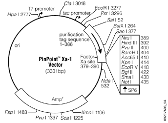 PinPoint Xa-1 Vector.