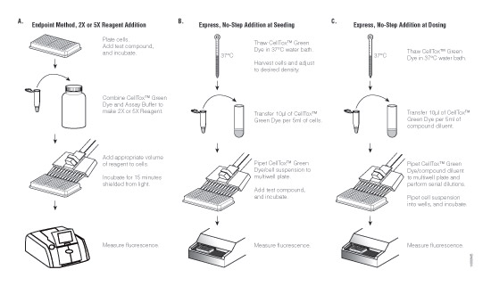 Figure 10888MB