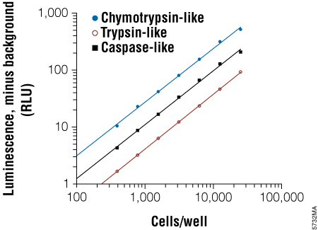 Luminescent signal is proportional to cell number and linear over three logs of cell number; r(2) = 0.99, slope = 0.94.