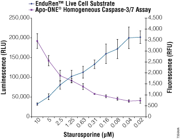 Multiplexing the EnduRen Live Cell Substrate and Apo-ONE Homogeneous Caspase-3/7 Assays.