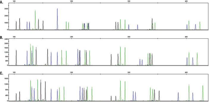 Representative electropherograms for direct amplification of DNA from buccal and blood samples preserved on various card types.