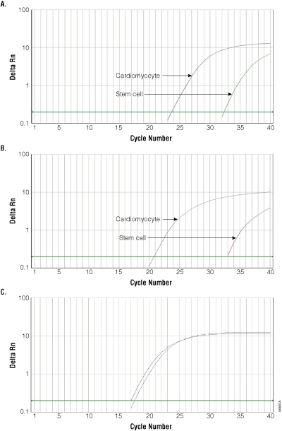  Monitoring gene expression after cardiomyocyte differentiation.