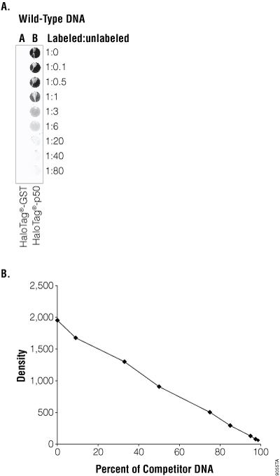 Specificity of DNA binding using a competition assay with the HaloLink Protein Array slide. 