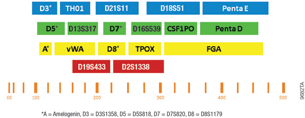 Configuration of the PowerPlex 18D System.
