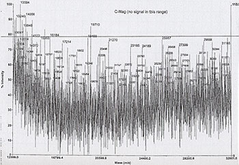 MALDI-TOF analysis of polyhistidine-tagged calmodulin eluted with MagneHis Elution Buffer showing background interference.