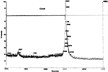 MALDI-TOF analysis of polyhistidine-tagged calmodulin eluted with 0.1% TFA in 50% acetonitrile.