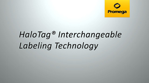 HaloTag Interchangeable Labeling Technology Animation