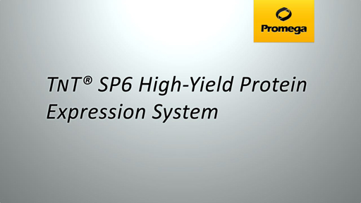 TNT SP6 High Yield Protein Expression System Animation