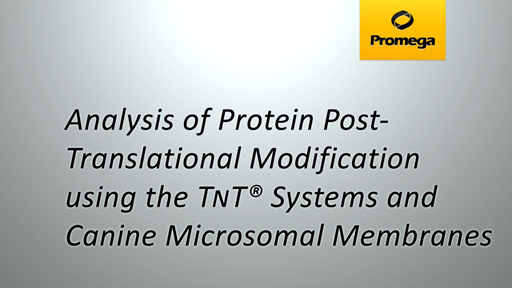 Protein Analysis using the TNT Systems and Canine Microsomal Membranes