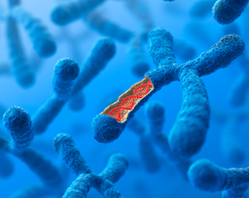 epigenetics