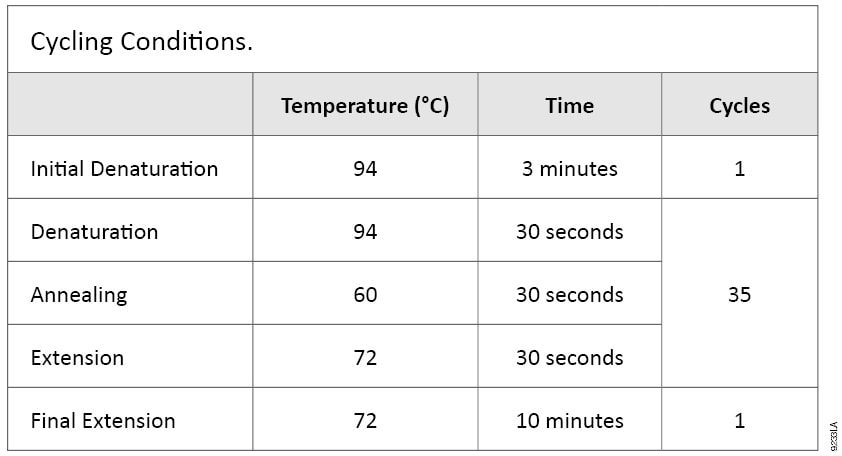 Cycling Conditions.