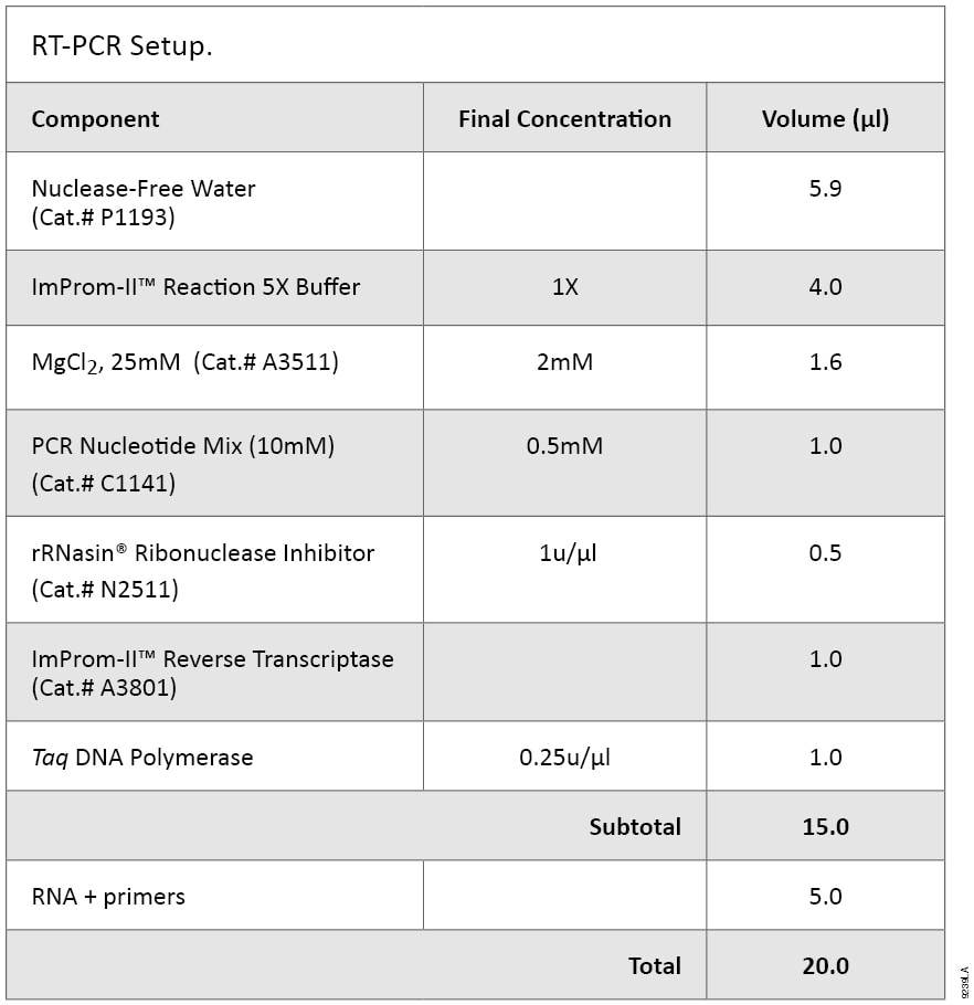 RT-PCR Setup.
