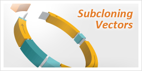 Subcloning Vectors