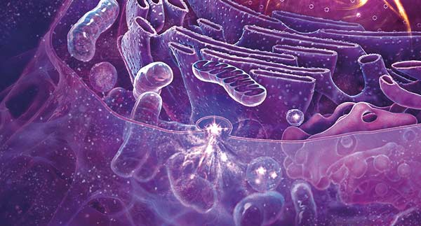 metabolite-detection-products