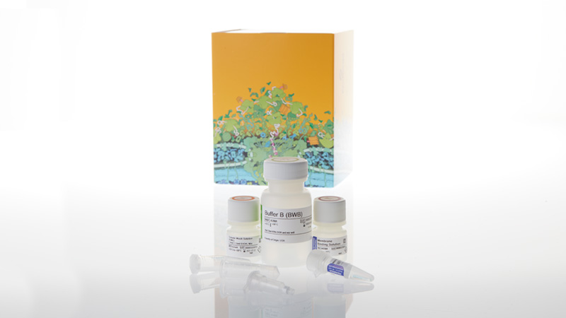 ReliaPrep DNA Clean Up and Concentration Sys 10 preps