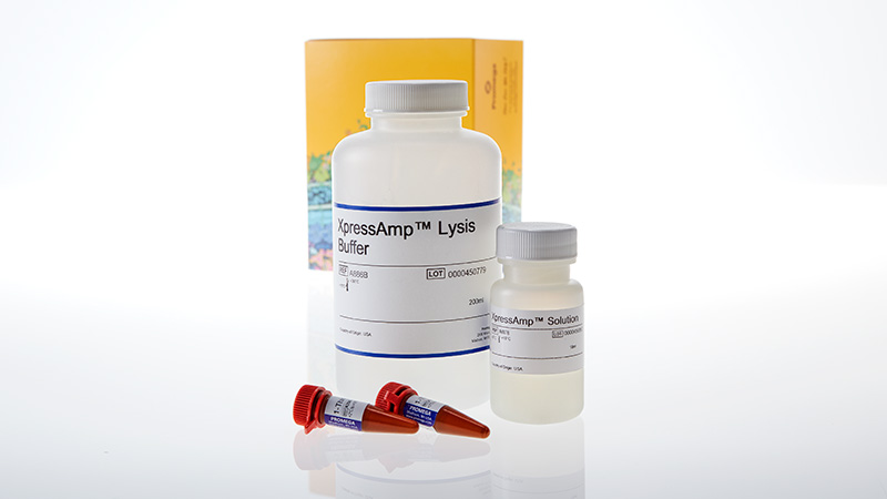A8880_XpressAmp-Direct-Amplification-Reagents--HT_3