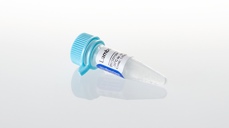 D1501_Lambda-DNA--250ug_3