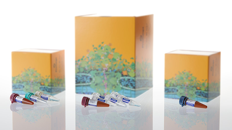 DC2402_PowerPlex--Fusion-System--200rxn