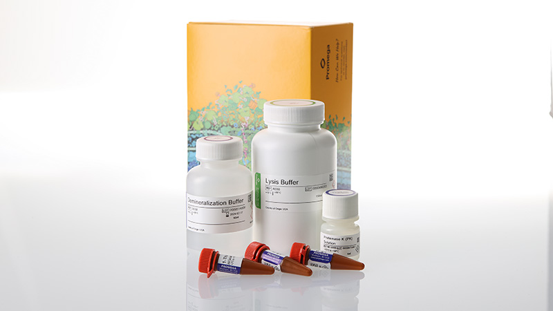 dc6051-bone-dna-extraction-kit