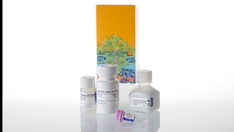 E2000_Beta-Galactosidase-Enzyme-Assay-System_3