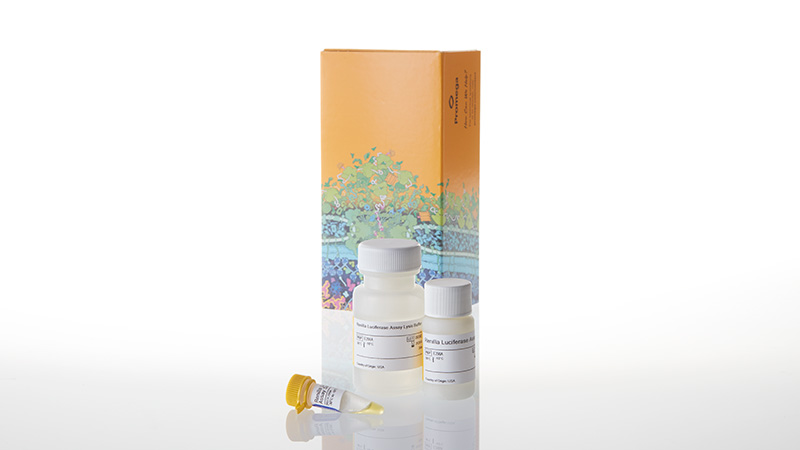 E2810_Renilla-Luciferase-Assay-System--100-Asy_3