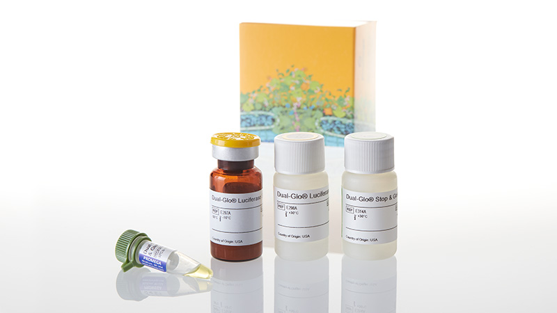 E2920_Dual-Glo--Luciferase-Assay-System--10ml_3