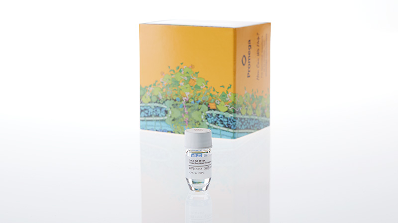 e5911-fugene-4k-transfection-reagent-3