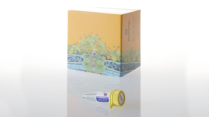 G6602_HaloTEV-Protease_3