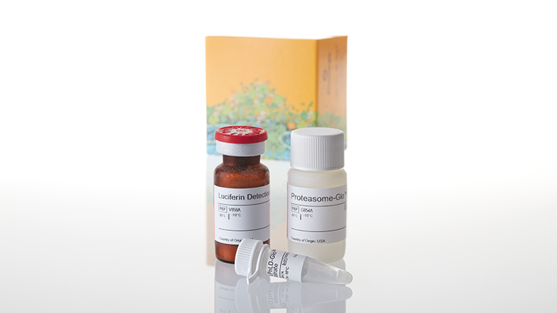 G8641_Proteasome-Glo--Caspase--Like-Assay-10ml_3