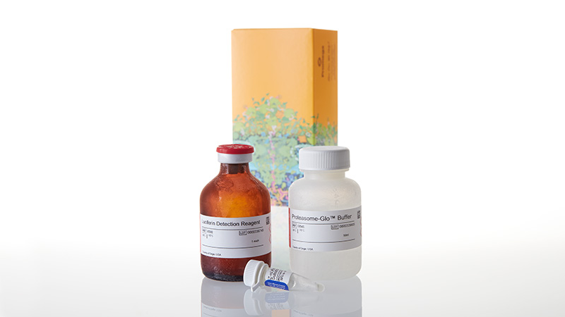 G8642_Proteasome-Glo--Caspase--Like-Assay-50ml_3