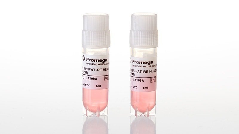 GA1082_VEGF-Bioassay--Propagation-Model_3