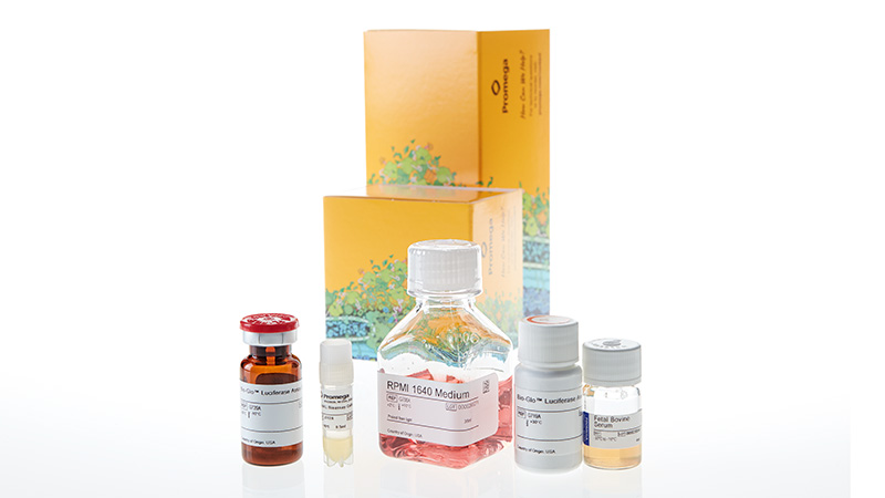 JA2701_RANKL-Bioassay_3