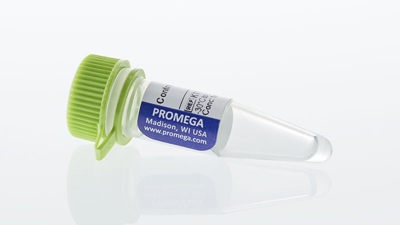 K1171_Control-Ab--Anti-GITR_3