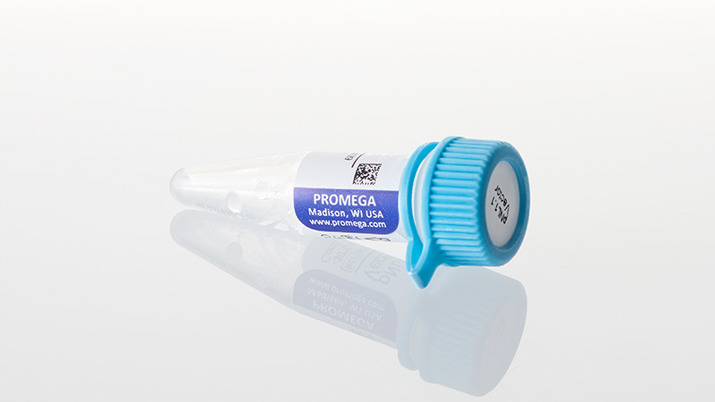 N1001_pNL1-1--Nluc--Vector_3