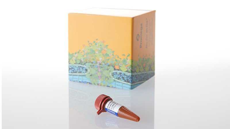 N1571_NanoBRET--Nano-Glo--Substrate-50ul_3