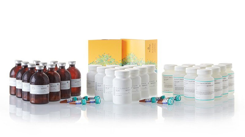 N1650_Nano-Glo--Dual-Luciferase--Reporter-Assa_3