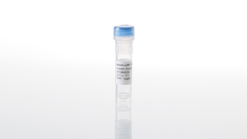 NanoLuc®-TNK2(Iso1)