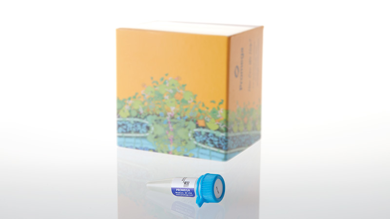 P9751_Bacterial Strain JM109