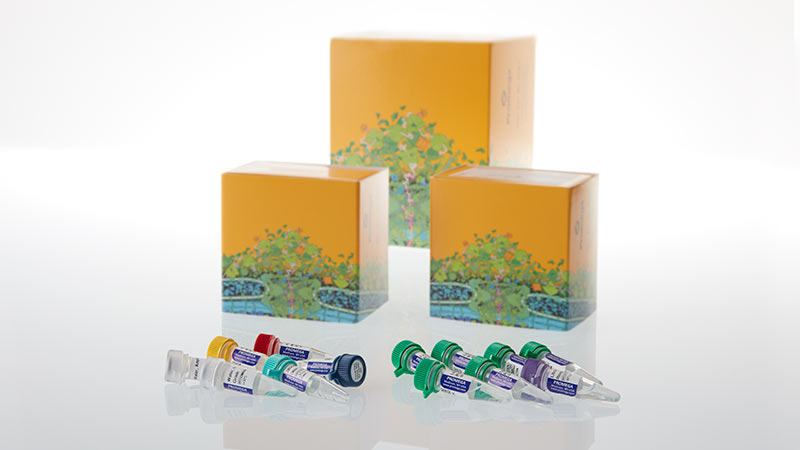 PowerSeq® Whole Mito Amp & Prep Kit