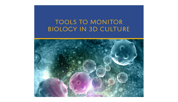 Cover of the guide "Assays and Tools to Monitor Biology in 3D Cell Cultures" featuring a microscopy image of 3D cell spheroids
