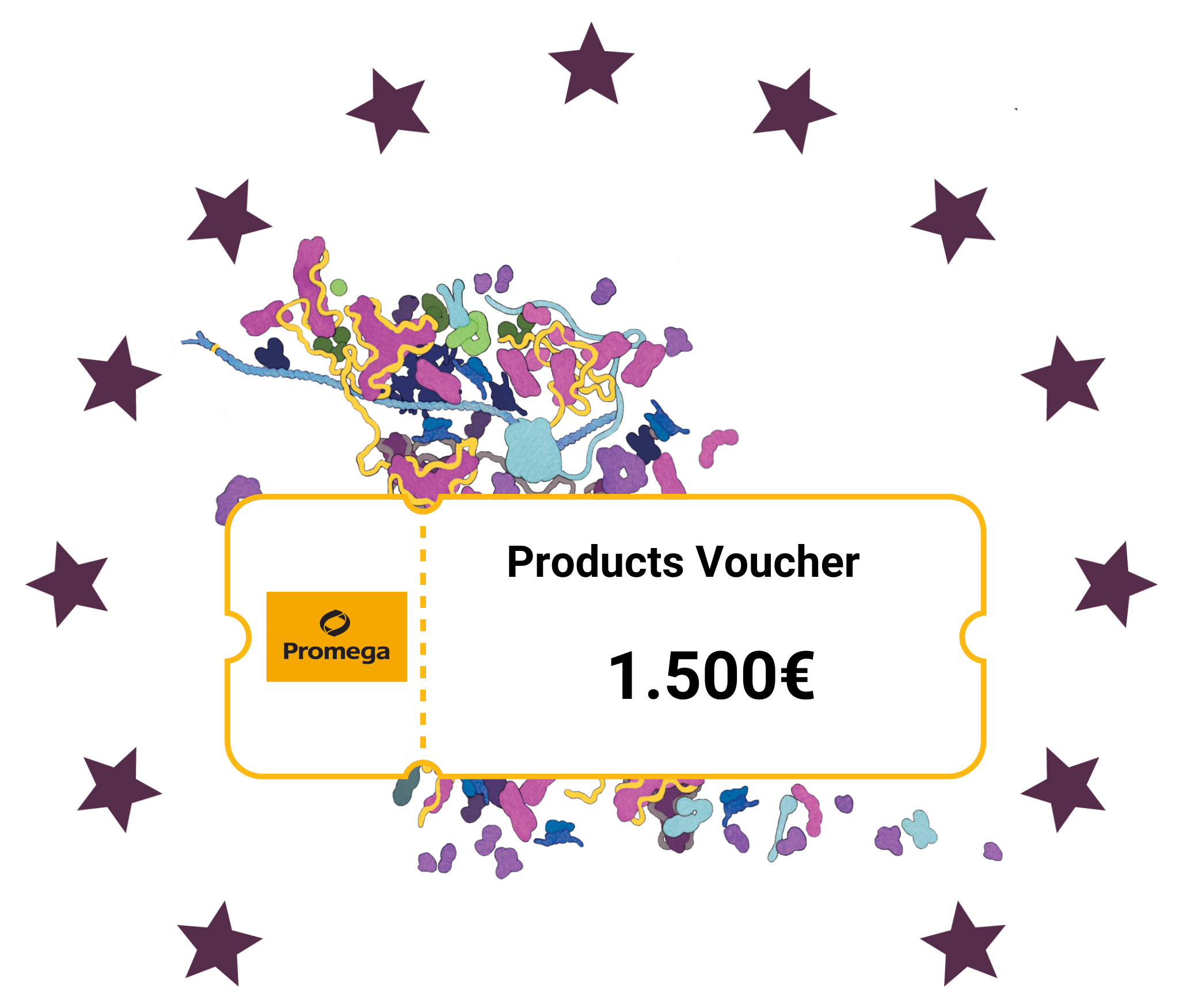 2024-rising-researcher-prizes-2