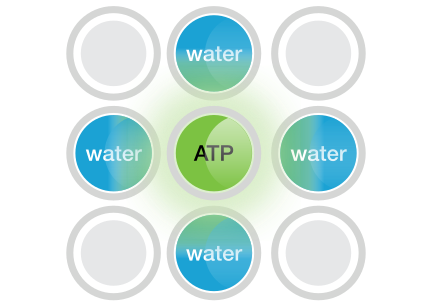 glomax-microplate-reader-minimizes-crosstalk