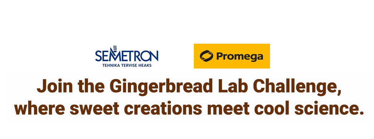 gingerbread-header-semetron