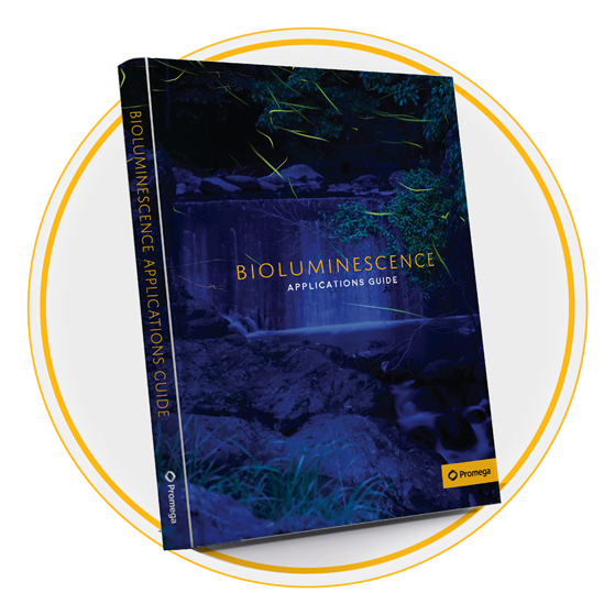 61979954-bio-app-guide-sol-rings