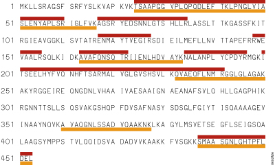 Protein coverage for mouse ubiquinol cytochrome c reductase obtained with trypsin and endoproteinase Lys-C.