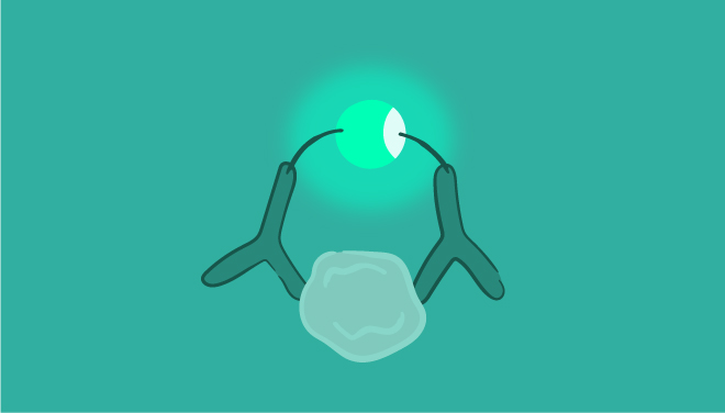 proteindetsubpage-immuno-three-web
