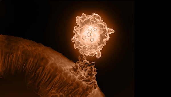 reporter-for-virologyapplications